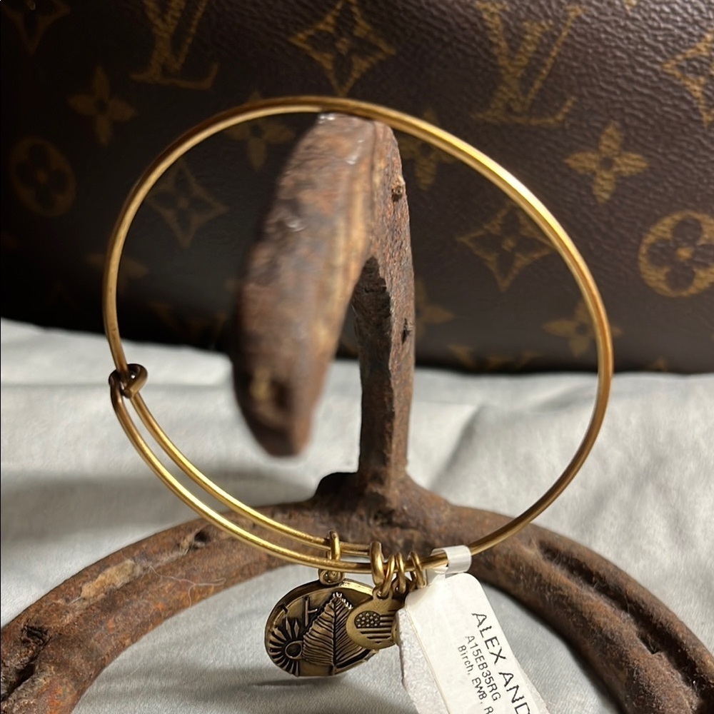 Alex and Ani Gold Charm Bangle Bracelet